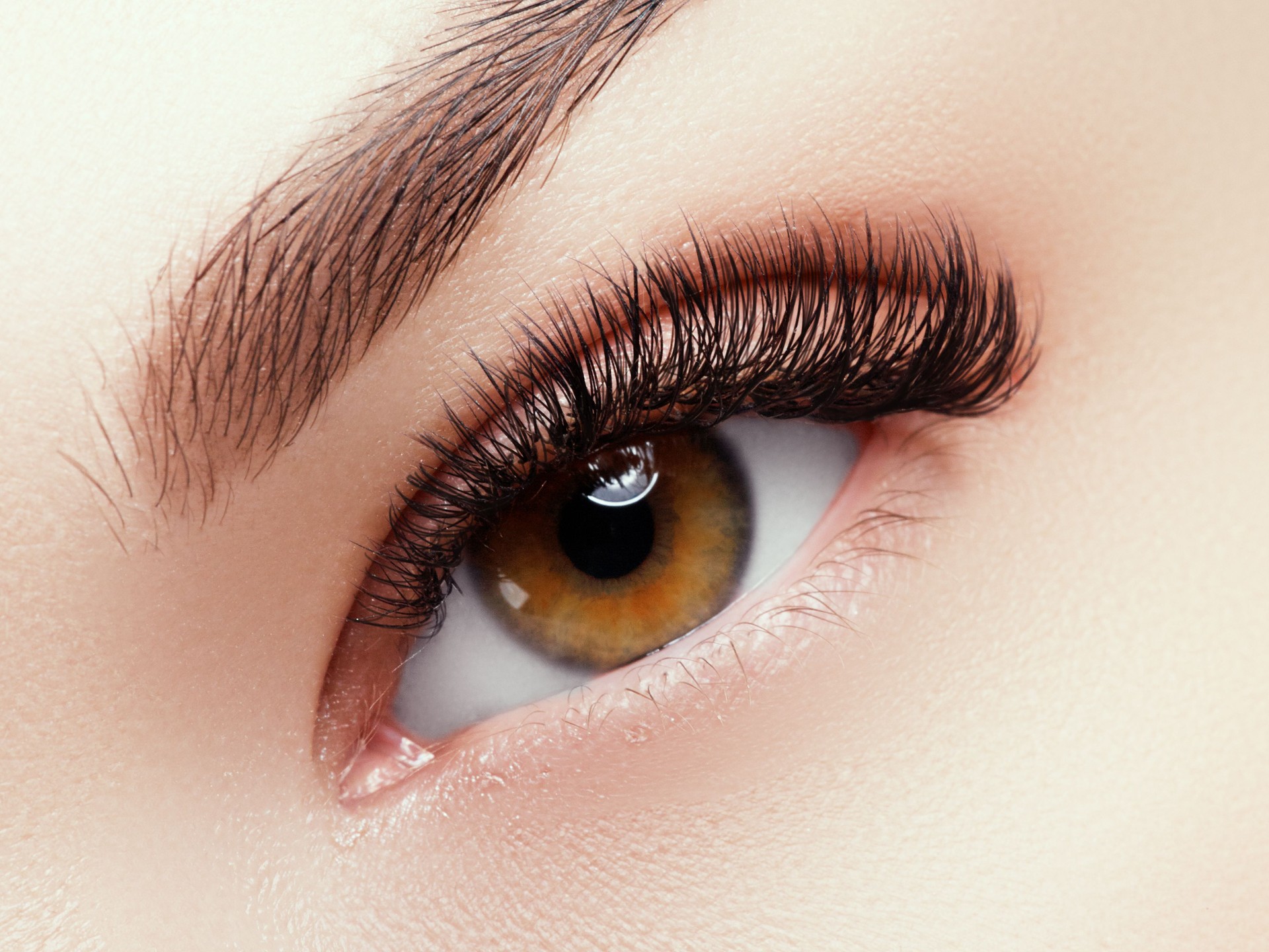 Beautiful face makeup. Long natural eyelashes. Perfect make-up closeup. Part of female face. Glamour lashes and black eyeliner make up. Perfect art, cosmetic and beauty. Eye with lashes